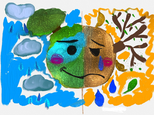 Portfolio Image